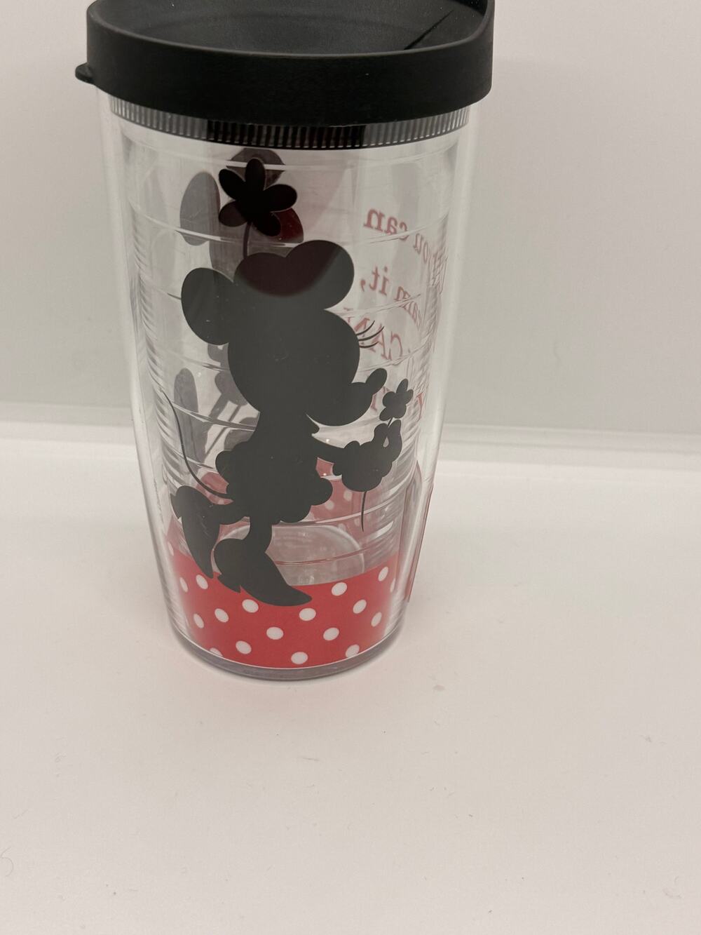 Disney Tervis Tumbler w/Mickey & Minnie "If You Can Dream It, You Can Do It"